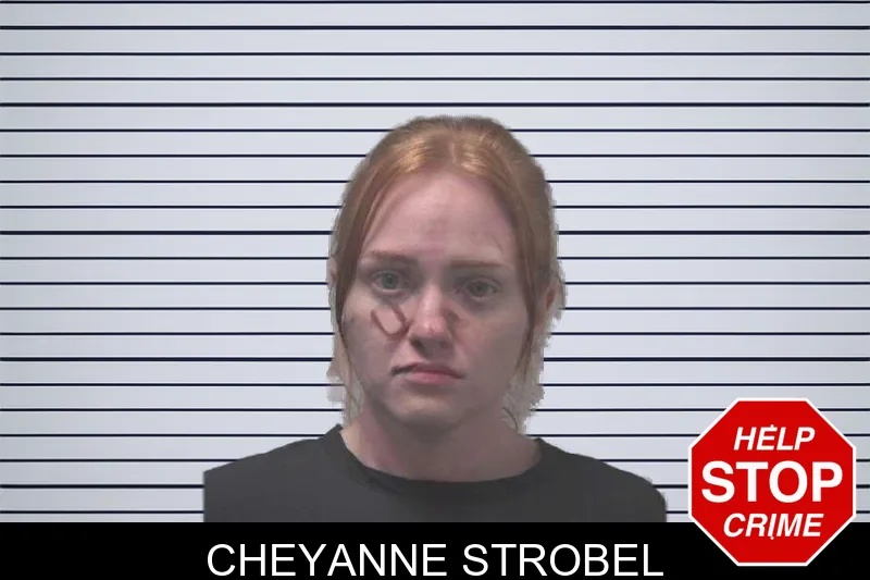 Cheyanne Strobel mugshot