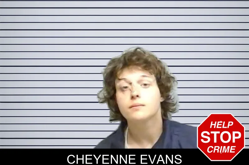 Cheyenne Evans mugshot