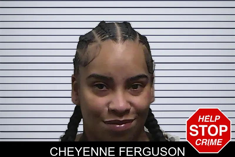 Cheyenne Ferguson mugshot