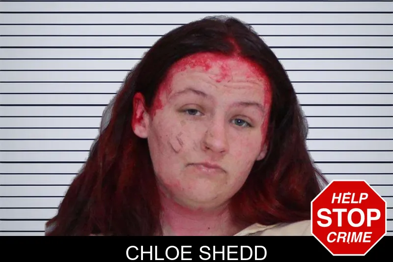 Chloe Shedd mugshot