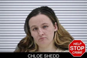 Chloe Shedd mugshot