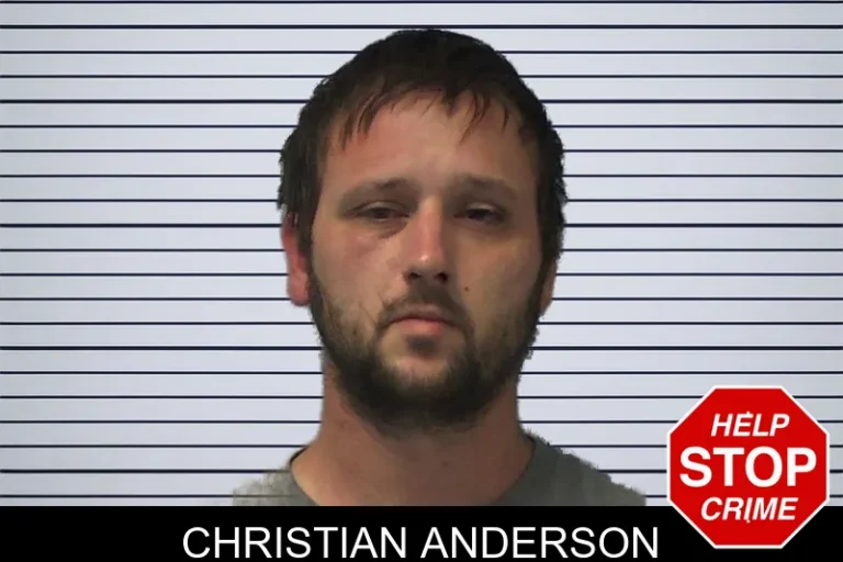 Christian Anderson mugshot – Ware County , Georgia Christian Anderson