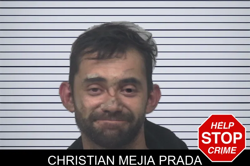 Christian Mejia Prada mugshot – Gwinnett County , Georgia Christian Mejia Prada mugshot