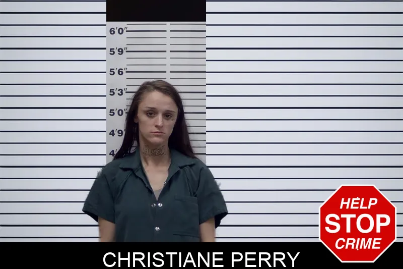 Christiane Perry mugshot – Irwin County , Georgia Christiane Perry mugshot