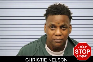 Christie Nelson mugshot