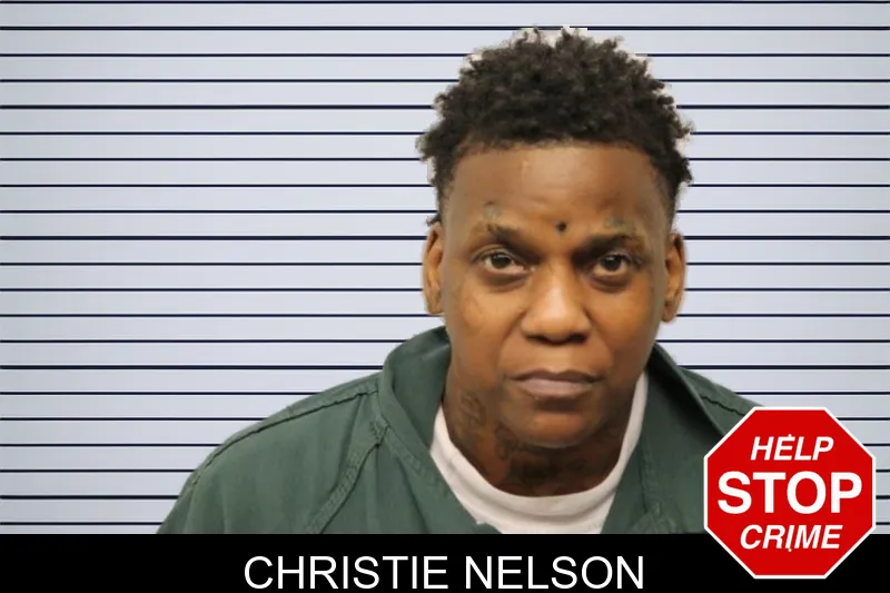 Christie Nelson mugshot