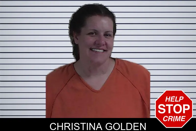 Christina Golden mugshot – Fannin County , Georgia Christina Golden mugshot
