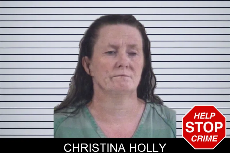 Christina Holly mugshot – Whitfield County , Georgia Christina Holly mugshot