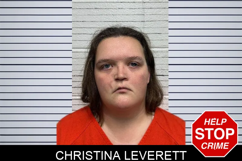 Christina Leverett mugshot – Dade County , Georgia Christina Leverett mugshot