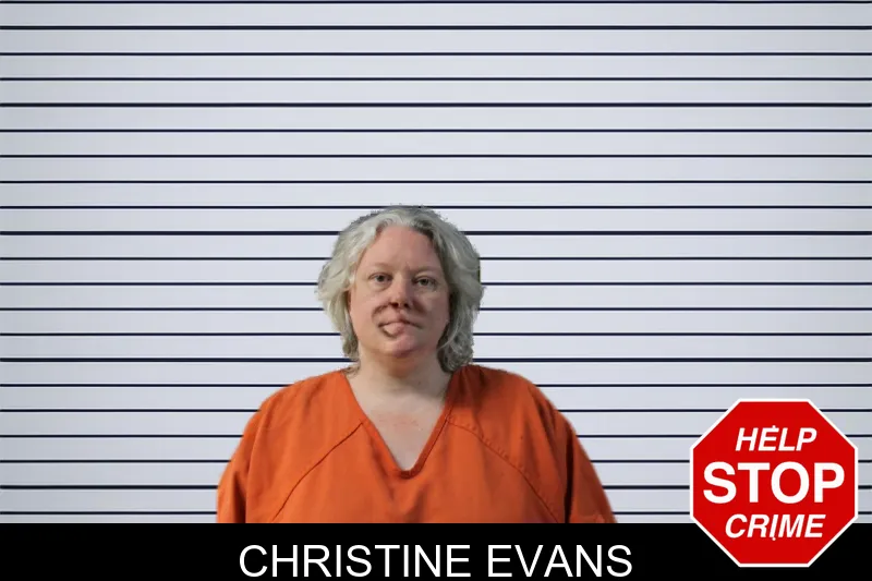 Christine Evans mugshot – Lumpkin County , Georgia Christine Evans mugshot