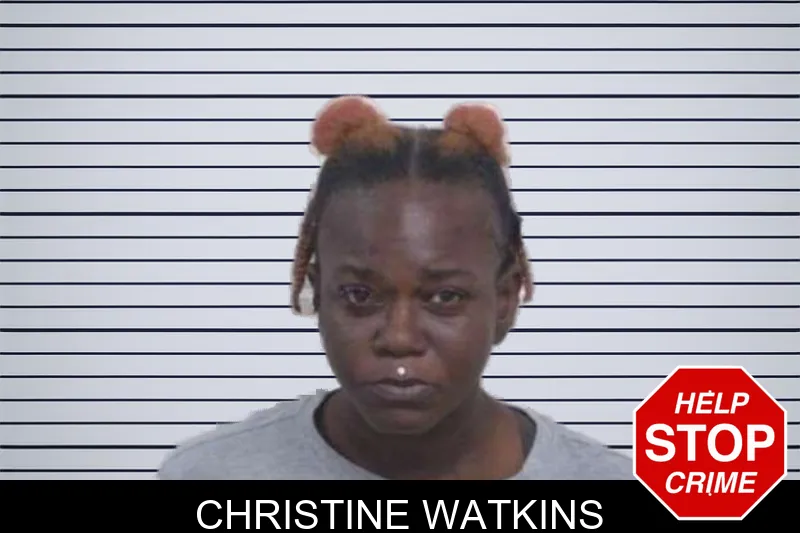 Christine Watkins mugshot