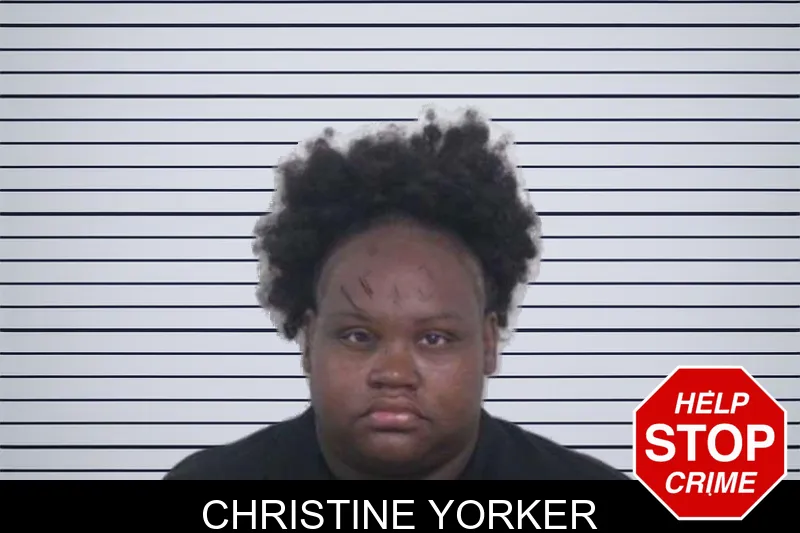 Christine Yorker mugshot
