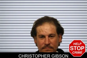 Christopher Gibson mugshot