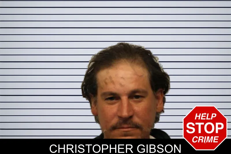 Christopher Gibson mugshot