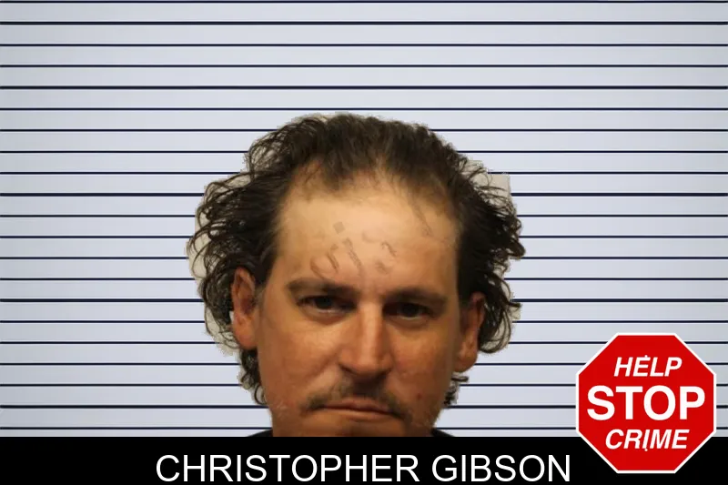 Christopher Gibson mugshot – Chatham County , Georgia Christopher Gibson mugshot