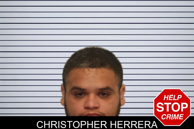 Christopher Herrera mugshot – Chatham County , Georgia Christopher Herrera mugshot