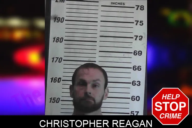 Christopher Reagan mugshot – Meriwether County , Georgia Christopher Reagan mugshot