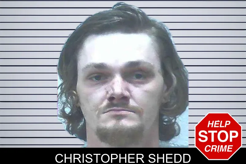 Christopher Shedd mugshot