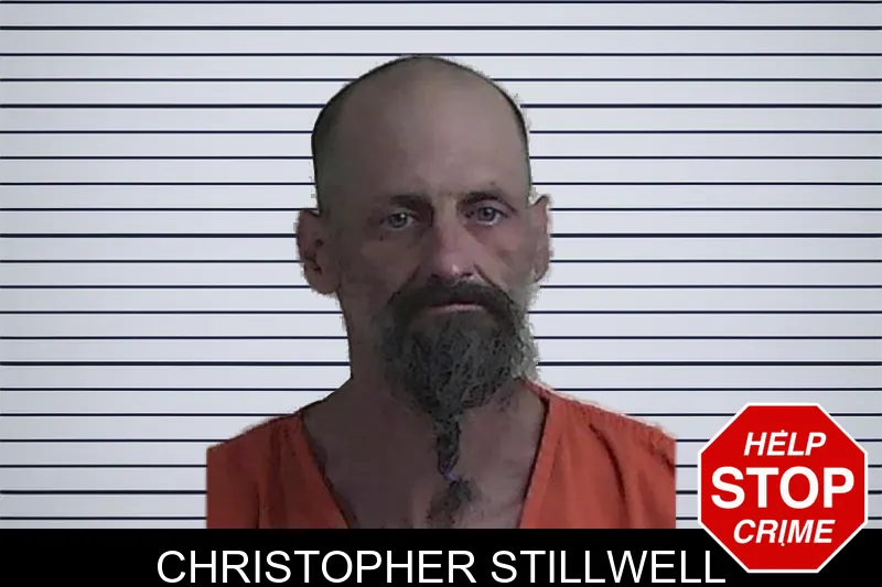 Christopher Stillwell mugshot – Fannin County , Georgia Christopher Stillwell mugshot
