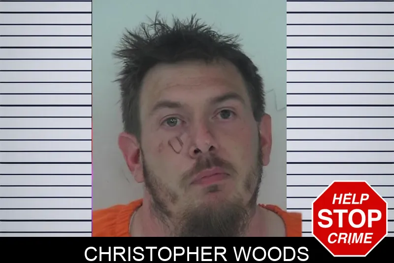 Christopher Woods mugshot – Fayette County , Georgia Christopher Woods mugshot