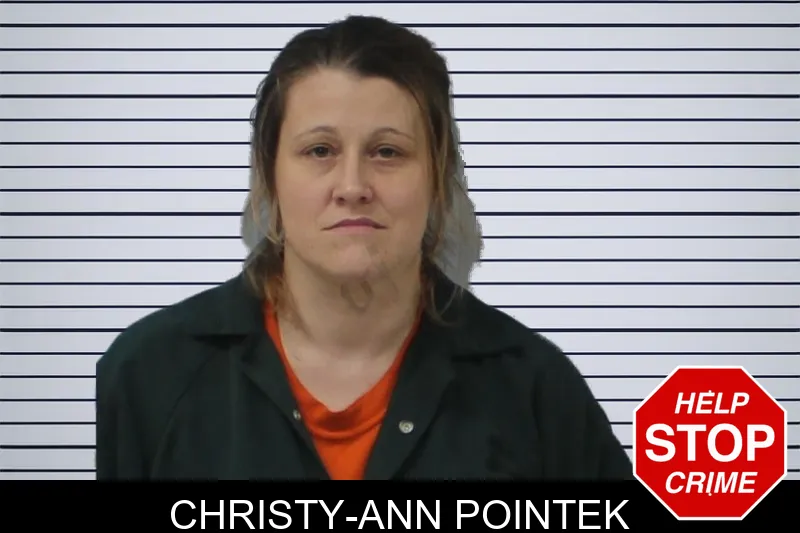 Christy-Ann Pointek mugshot – Mcintosh County , Georgia Christy-Ann Pointek mugshot
