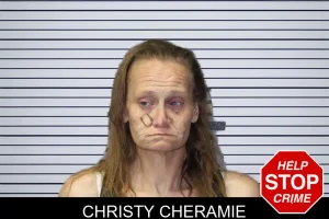 Christy Cheramie mugshot