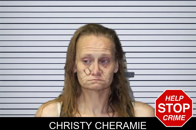 Christy Cheramie mugshot