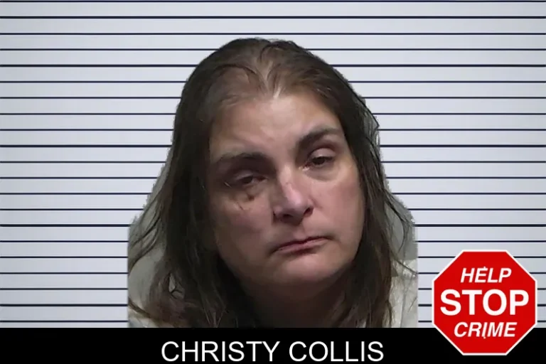 Christy Collis
