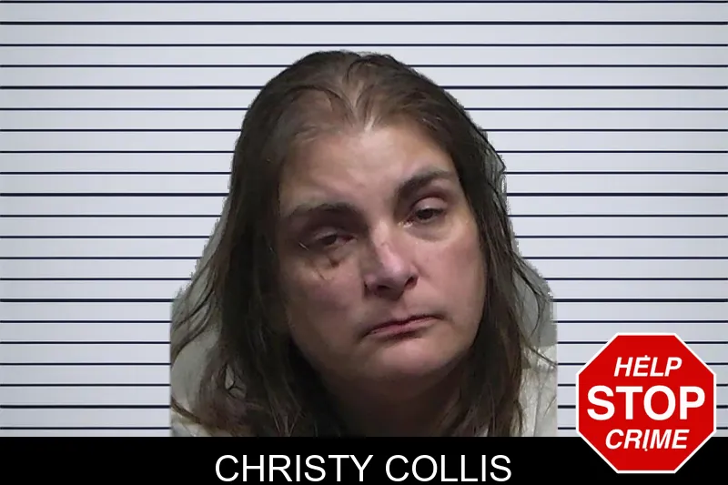 Christy Collis mugshot