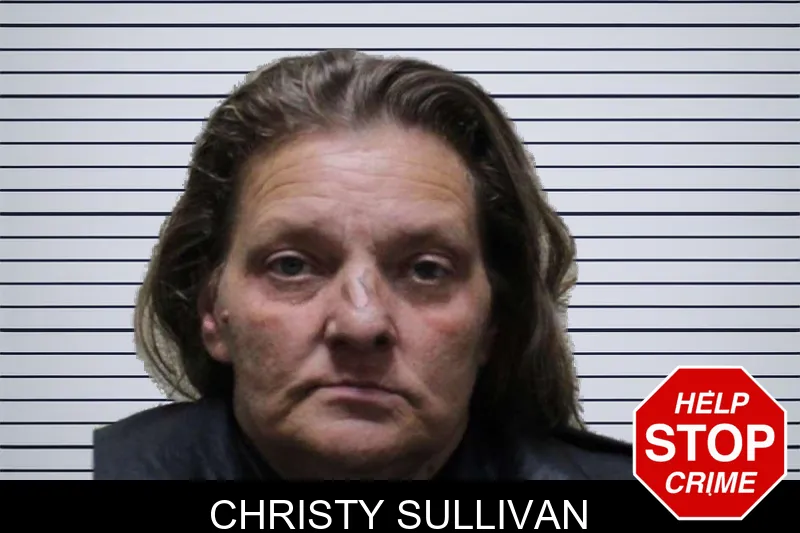Christy Sullivan mugshot – Haralson County , Georgia Christy Sullivan mugshot