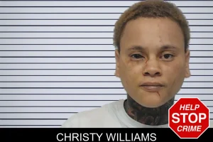 Christy Williams mugshot