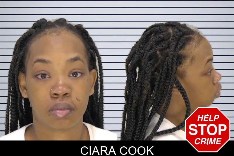 Ciara Cook mugshot