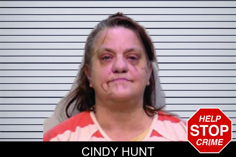 Cindy Hunt mugshot – Bartow County , Georgia Cindy Hunt mugshot