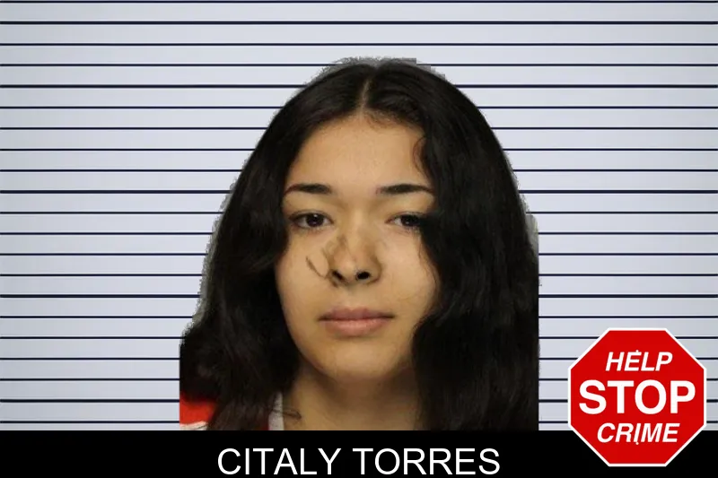 Citaly Torres mugshot