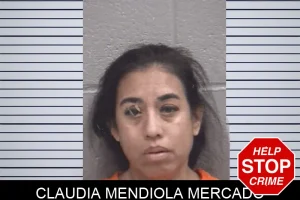 Claudia Mendiola Mercado mugshot