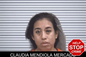 Claudia Mendiola Mercado mugshot