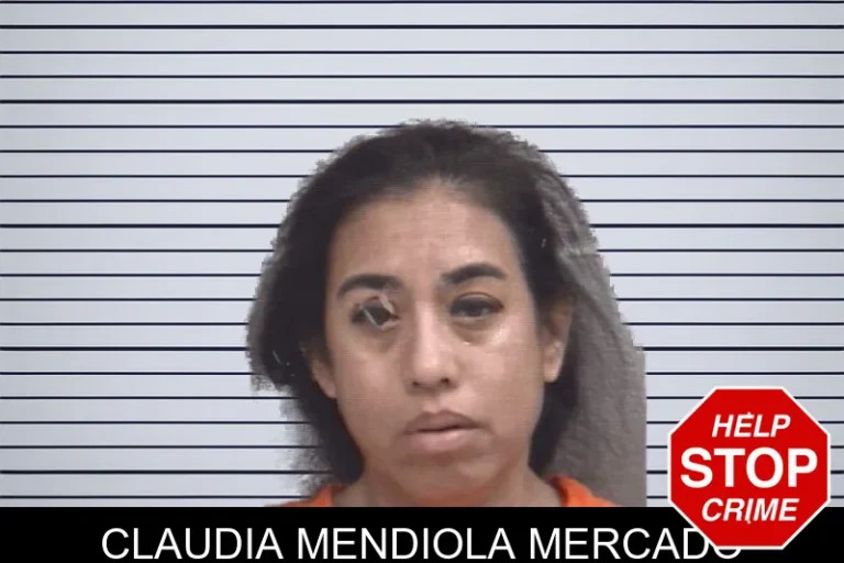 Claudia Mendiola Mercado