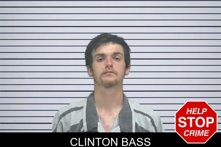 Clinton Bass