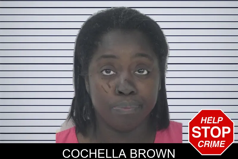Cochella Brown mugshot – Fayette County , Georgia Cochella Brown mugshot