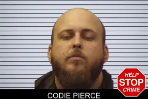 Codie Pierce mugshot