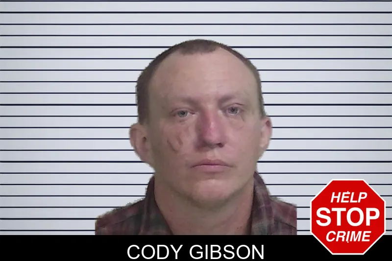 Cody Gibson mugshot