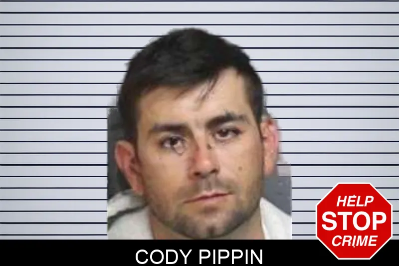Cody Pippin mugshot