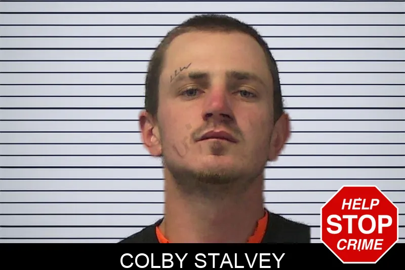 Colby Stalvey mugshot – Ware County , Georgia Colby Stalvey mugshot