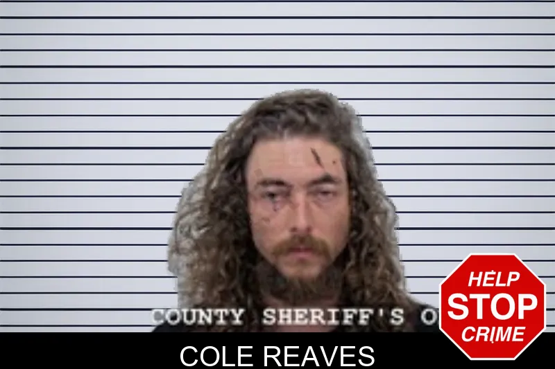 Cole Reaves mugshot