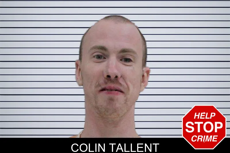 Colin Tallent mugshot – Rabun County , Georgia Colin Tallent mugshot