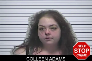 Colleen Adams mugshot