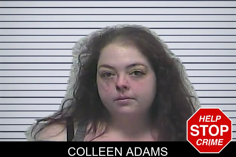 Colleen Adams mugshot