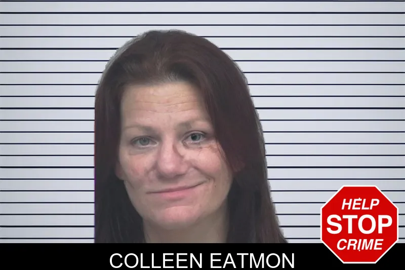 Colleen Eatmon mugshot – Gwinnett County , Georgia Colleen Eatmon mugshot