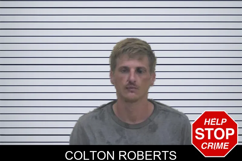 Colton Roberts mugshot