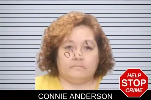 Connie Anderson mugshot